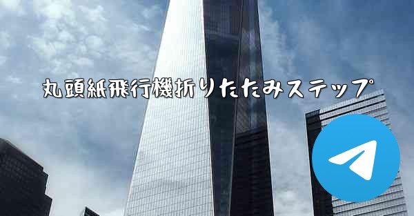 丸頭紙飛行機折りたたみステップ