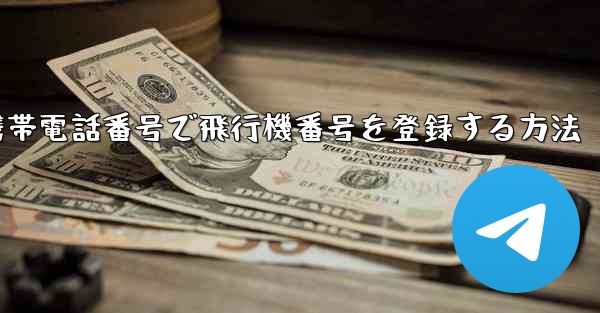国内携帯電話番号で飛行機番号を登録する方法