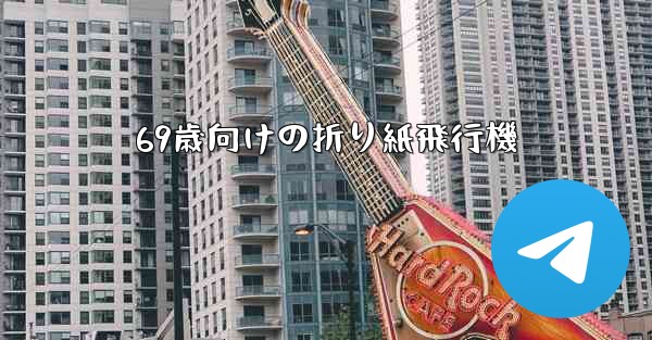 69歳向けの折り紙飛行機