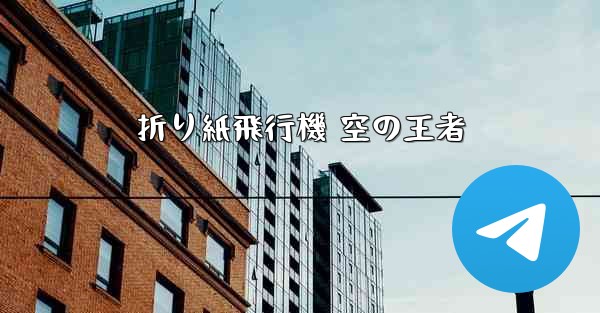 折り紙飛行機 空の王者