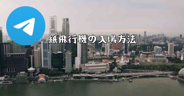 紙飛行機の入場方法