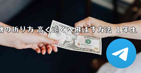 紙飛行機の折り方 高く遠くへ飛ばす方法 １年生