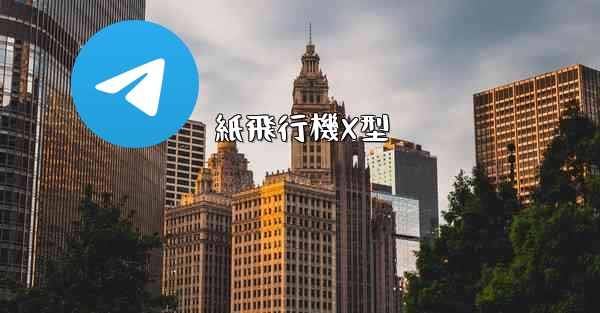紙飛行機X型