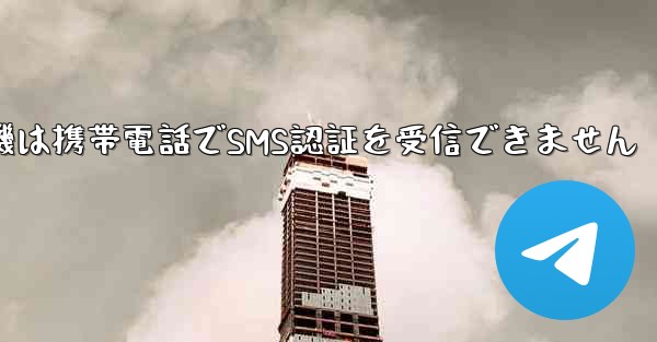 紙飛行機は携帯電話でSMS認証を受信できません