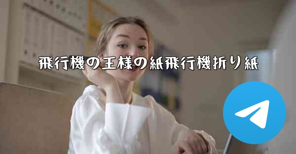 飛行機の王様の紙飛行機折り紙