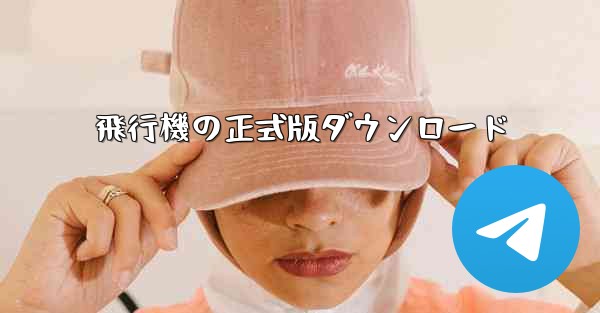 飛行機の正式版ダウンロード