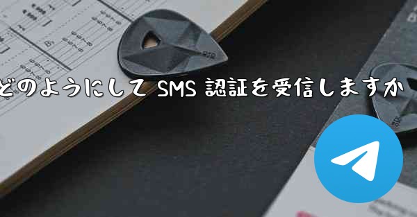 Paper Plane はどのようにして SMS 認証を受信しますか
