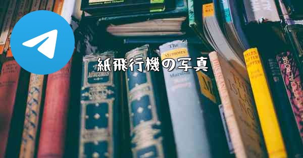 紙飛行機の写真