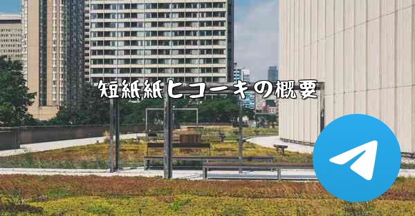 短紙紙ヒコーキの概要