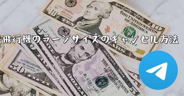 紙飛行機のラージサイズのキャンセル方法