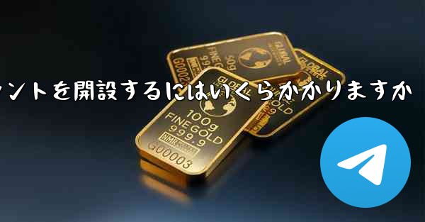 紙飛行機のアカウントを開設するにはいくらかかりますか