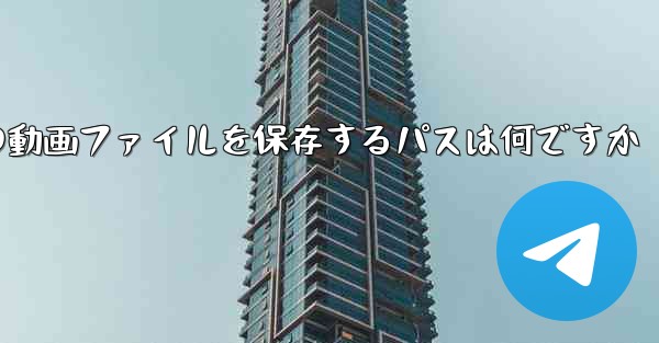 紙飛行機の動画ファイルを保存するパスは何ですか