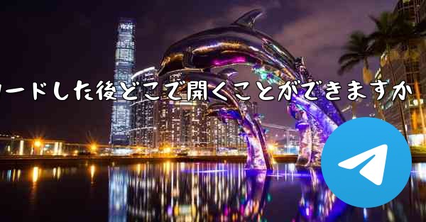 Little Plane をダウンロードした後どこで開くことができますか