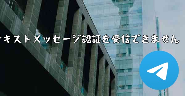 紙飛行機は海外のテキストメッセージ認証を受信できません